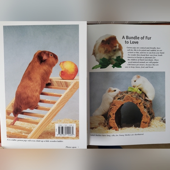 Guinea Pigs Care Guide Bk - Picture 2 of 5